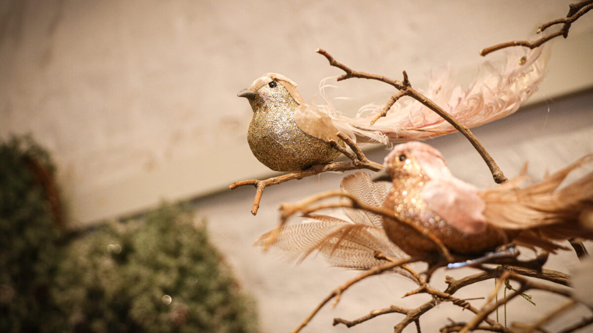 Bildbeskrivning saknas