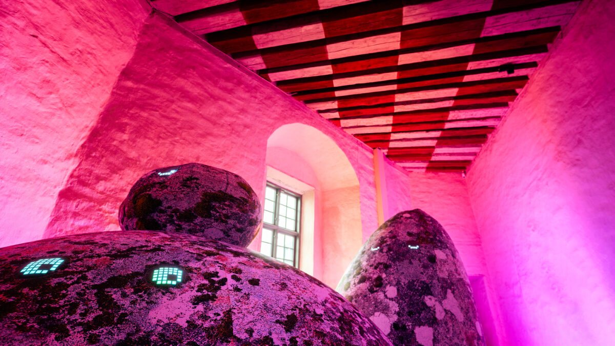 Modern guru på Kalmar Slott